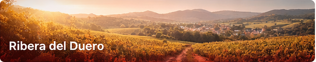 Ribera del Duero